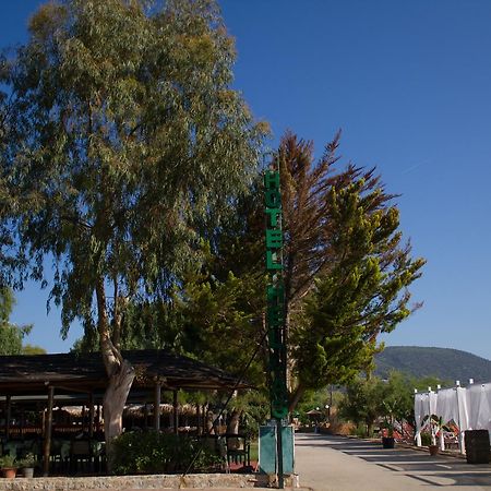 Epidaurus Hotel Hellas מראה חיצוני תמונה